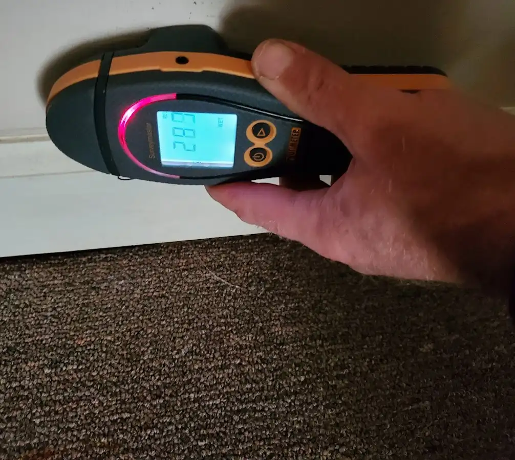 Moisture detection at baseboard during Sewage Cleanup & Sanitation in Marshall